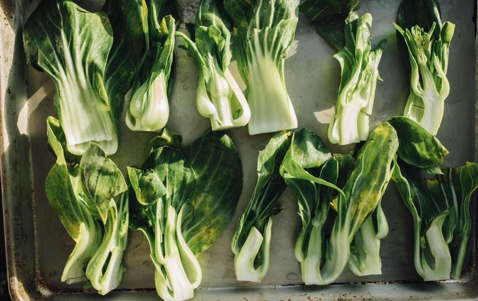 Roasted Bok Choy