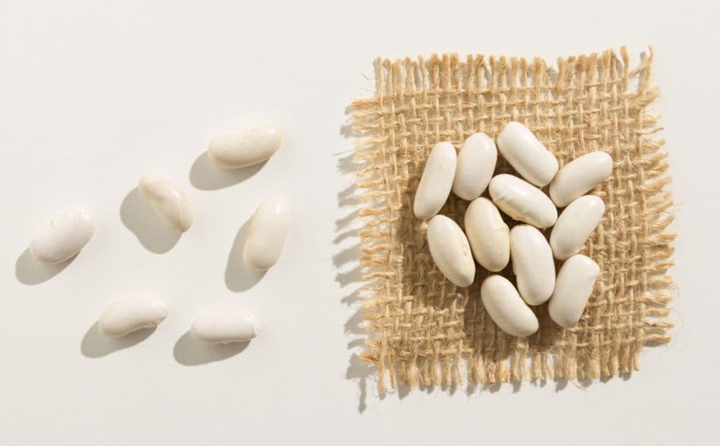 What are the Creamiest White Beans?