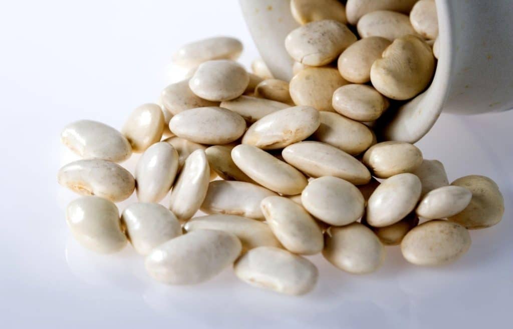 What are the Healthiest White Beans?