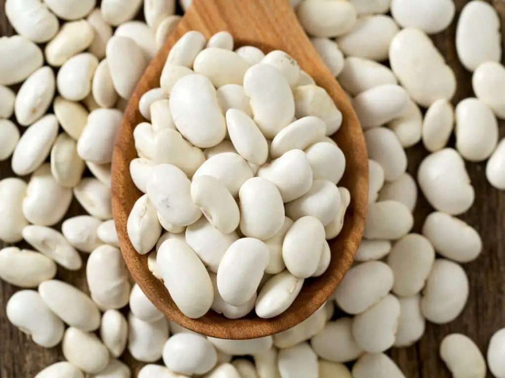 What Are the 4 Types of White Beans?